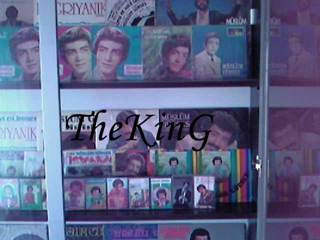 Photo-0001.jpg