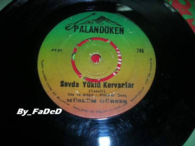 sevda yuklu kervanlar....JPG