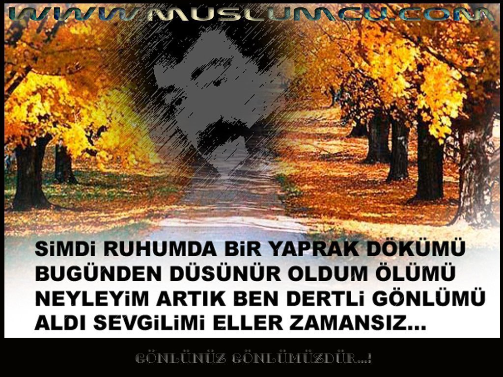 M�sl�m G�rses 25